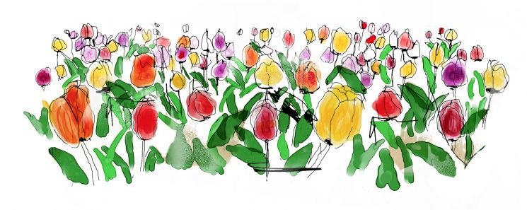 tulpaner_illustration (kopia 2)